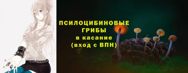 ПСИЛОЦИБИНОВЫЕ ГРИБЫ Алексеевка