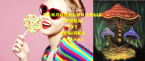 ПСИЛОЦИБИНОВЫЕ ГРИБЫ Алексеевка