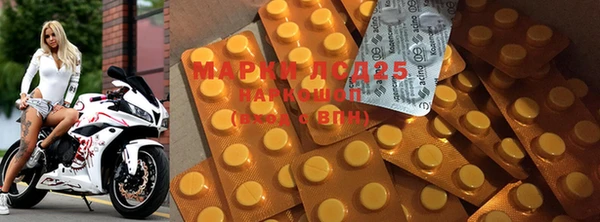стаф Нефтегорск